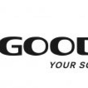 logo_GOODWE_01-1-300x106