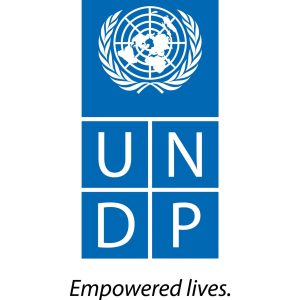 undp-logo-scaled